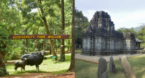 2-Day Dudhsagar Waterfall Itinerary