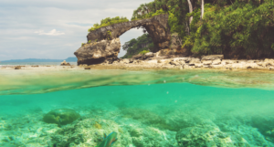 Andaman and Nicobar