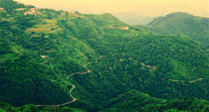 August Shimla Greenary