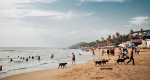 Baga Beach