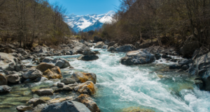 Beas River