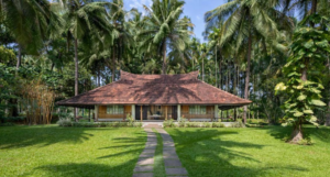 Big Banyan Vineyard
