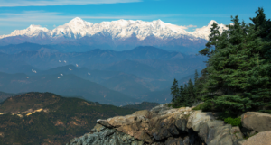 Binsar