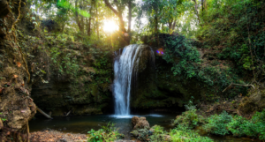 Corbett Waterfall