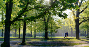Cubbon Park
