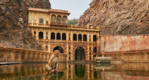 Galtaji Temple (Monkey Temple Visit)