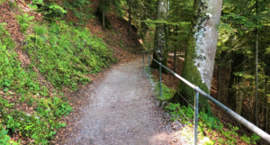Gilbert Trail