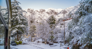 January Shimla Snow