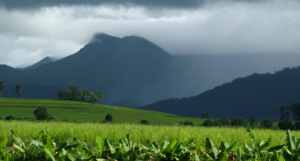 Karjat