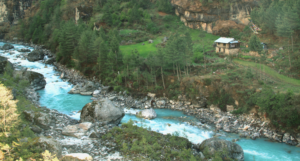 Kosi River_ Things to Do in Jim Corbett National Park