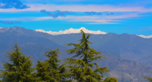 Lal Tibba