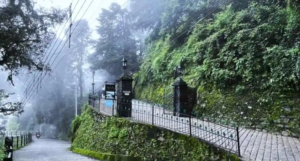 Landour