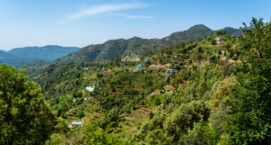 Letibunga Village