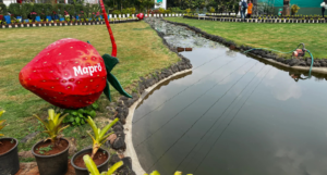 Mapro Garden Near Lonavala