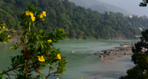 Mohan Chatti