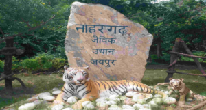 Nahargarh Biological Park (1)