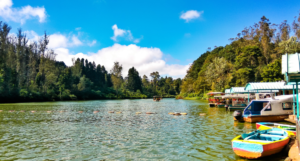 Ooty Lake