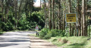 Ooty by Road