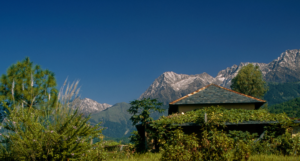 Palampur