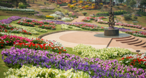 Rose Garden Ooty