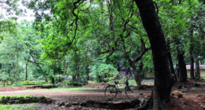 Ryewood Park