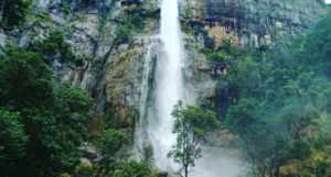 Shikhar Fall