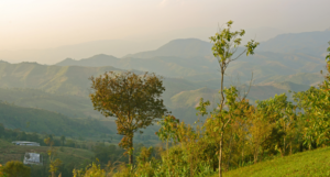 Sitla View Point