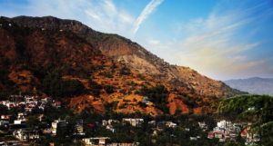 Solan