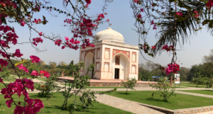 Sunder Nursery