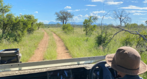 Travel Tips for Visiting Jim Corbett
