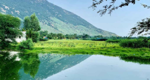 Yelagiri
