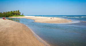 benaulim beach goa