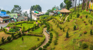 lamahatta darjeeling