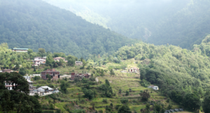 pangot uttarakhand