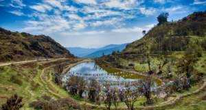 singalila national park darjeeling