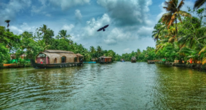 Alleppey Backwaters