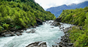 Bhatsa River Valley