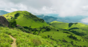 Brahmagiri Hills