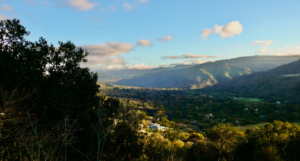 Camel Valley