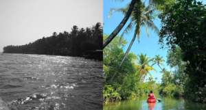 Candolim & Nerul Backwaters