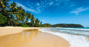 Cherai Beach