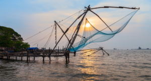 Chinese Fishing Nets
