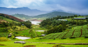 Coorg Title