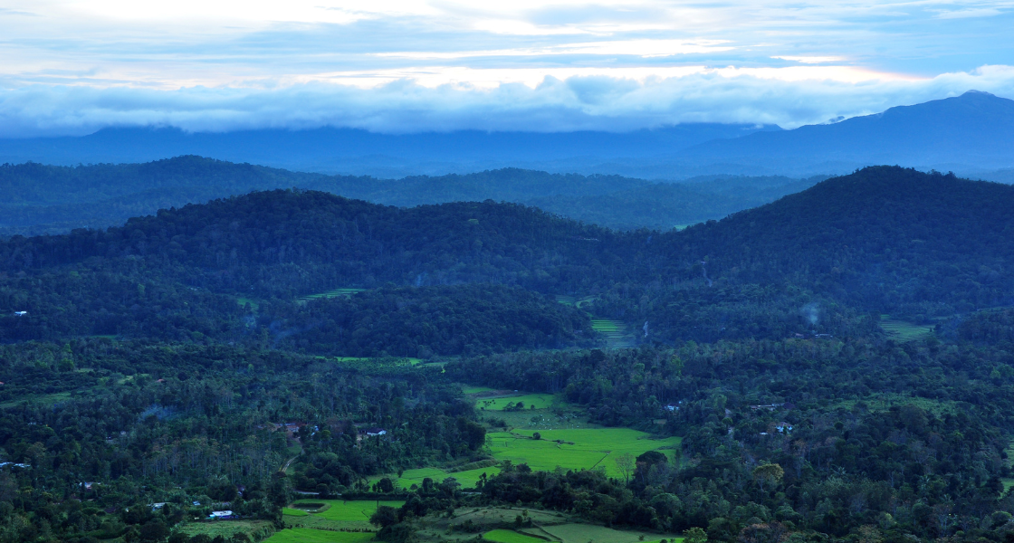 Best Places to Visit in Coorg: Waterfalls, Coffee Estates & Views