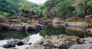 Cotigao Wildlife Sanctuary