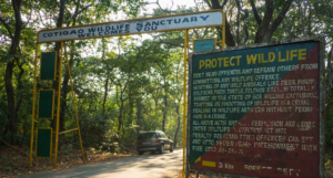 Cotigao Wildlife Sanctuary