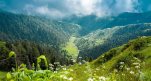 Dalhousie