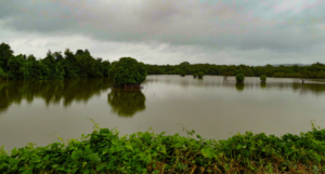 Divar Island