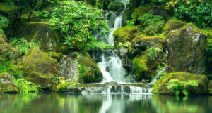Dudhsagar Waterfalls
