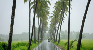 Goa Rain
